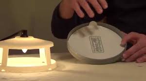 How To Kill Fleas Flea Trap Youtube