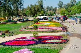 flower festival zawra park in baghdad مهرجان الزهور حديقة الزوراء في بغداد baghdad iraq