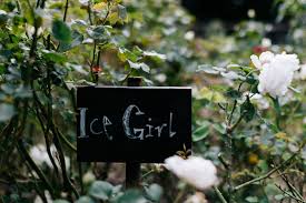 We did not find results for: Garden Tasks For May Acre Of Roses