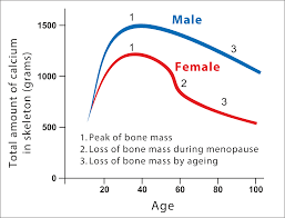 Bone Health K2d3