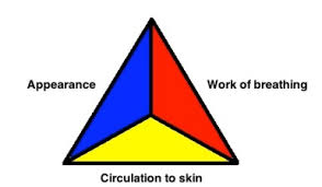 Image result for Pediatric Assessment Triangle