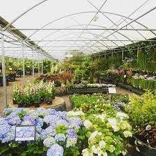 Our Garden Centre Under The Canopy Gardencentre Nursery Jacksonsnurseries Plants Gardening Garden Growyourown Daysout Staffordshire Moorlands Tearoom