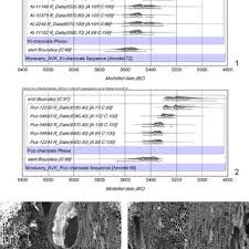 Many dd relationships mean when the woman brings the idea to her partner. Moravany 1 Radiocarbon Dating Of All Taxonomically Undetermined Download Scientific Diagram