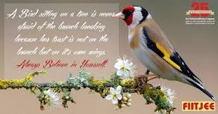 Bird Sitting On Branch Png A Bird Sitting On A Tree Is Never Afraid Of The Branch Breaking Because Her Trust Is Not On The Branch But On It S O Birds Sunday Motivation