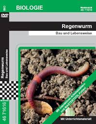 Regenwurm Dvd Medienlb