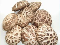 Kemudian baru digaul dengan udang kering, cendawan shitake dan buah berangan sehingga garing dan ianya harus ditumis secara berasingan. Cendawan Shiitake Simbol Panjang Umur Asia Timur Jom Sihat Dengan 3 Resepi Cendawan Ini Yang Mudah Dan Lazat