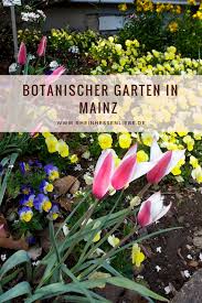 Wir bitten um verständnis, wenn es zu verzögerungen beim einlass in den. Auszeit Fur Die Seele Der Botanische Garten In Mainz Rheinhessenliebe