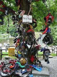 Tail Of The Dragon Tree Of Shame At Deals Gap Motorcyle Resort Bike Trips Mountains In Tennessee North Carolina Travel