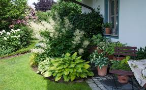 Schatten ist nicht gleich schatten: 10 Stauden Fur Den Halbschatten Das Haus