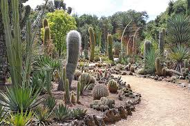 10226 stone cactus dr is a 3 beds, 2 full bath(s), property in houston tx 77095. The Secret Garden News Palo Alto Online
