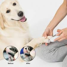 Dog nail clipping vs grinding. 20 Best Dog Nail Grinders Reviews Updated 2020 Buyer Guide Dog Nails Cat Nails Grooming Tools