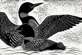 Page Title Art Bird Art Bird Illustration