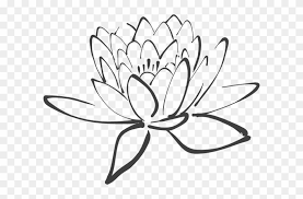 The collection white lotus resort 3 from white. Lotus Flower Outline Black And White Lotus Free Transparent Png Clipart Images Download