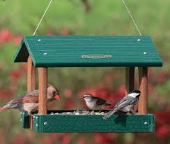 Duncraft Just Debuted Brand New Bird Feeders Here S Our Favorites Bird Feeders Feeder Platform Bird Feeder