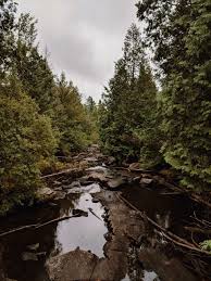 Quebec Dark Aesthetic Green Aesthetic Anime Scenery