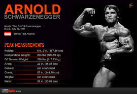 F98d3c7a727c526c08c5693a12615fe7 Png 620 430 Arnold Schwarzenegger Arnold Schwarzenegger Body Bodybuilding