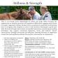 Operation Horses Heal upcoming program series