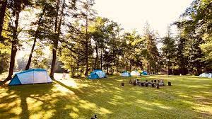 For cabins/yurts/camping cottages tents, camping trailers and recreation vehicles are not permitted in the area. Aktualisiert 2021 Family Rental Tent Forest Camping Mozirje Zeltcamp In Loke Pri Mozirju Tripadvisor