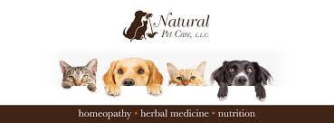 Holistic vets look at a pet's overall health, and use traditional and alternative therapies. Natural Pet Care Home Facebook