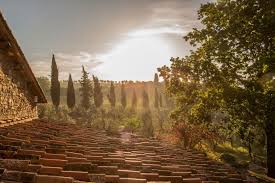 Azienda Agricola Il Palagio Di Panzano Tuscany Wine Wine Tour Tuscany Wine Tour
