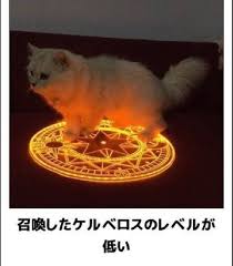 一 発 で 笑える 画像