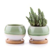 Ceramic jar cactus are generally made out of high quality and safe materials, meaning that your items remain safe and untouched by any harmful chemicals. T4u Succulent Cactus Planters Pots 3 Inch Ball Shape Ceramic Succulent Clay Planters Containers Window Boxes With Bamboo Tray Green Set Of 2 Buy Online In Aruba At Aruba Desertcart Com Productid 52504873