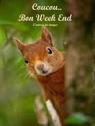 </div></body></html>