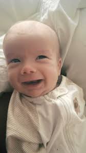 ✨Warrior Family Spotlight ✨ @davidkarnsbass How long have you been playing  a Warrior? 20 years as a Warrior artist 👏🏼 Which Warriors do you have?  '62 Bella 5 string jazz 2011 DM