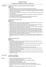 Inside Sales Executive Resume Samples Velvet Jobs
