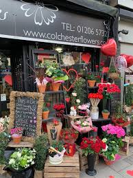 We did not find results for: Stanway Green Florist Same Day Flower Delivery Order By 1pm