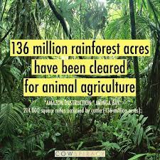 Jessica On Twitter Animal Agriculture Photography Jobs Rainforest