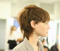 These hair styles are not only meant for women but they also look cool on males. 15 Razor Cut Pixie Hairstyles Pixie Cut Haircut For 2019