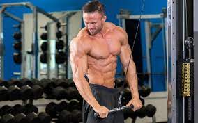 12 Week Fat Destroyer: Complete Fat Loss Workout & Diet Program | Muscle &  Strength
