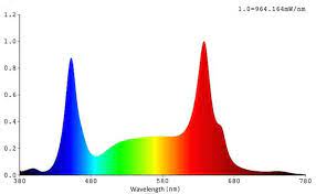 What light spectrum is best for flowering. What Bulb Is Best For Flowering Grow Light Info