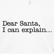 We did not find results for: Dear Santa I Can Explain Hoodie By Chargrilled