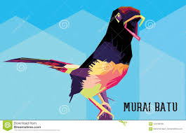 Cara menghilangkan kutu pada burung murai batu bisa anda lakukan dengan air rebusan daun sirih. Gambar Terkait Dengan Murai Batu Vector