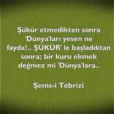 Celaleddin Rumi Sufi Celaleddin I Rumi Panosundaki Pin