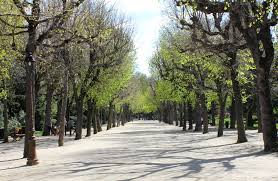 This category contains only the following file. Jardin Henri Vinay