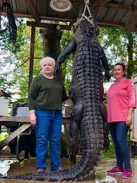 Check spelling or type a new query. Texas Great Grandmother Kills 12 Foot Gator With One Shot