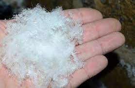 While the white powder often found on basement walls and mold are caused by similar conditions, they are actually different materials. How To Get Rid Of And Prevent Mold Growth On Concrete Environix