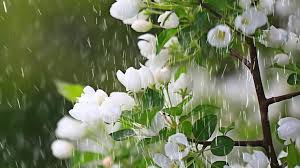 Her alter egos include janet snakehole and judy hitler. Hundertjahriger Kalender April 2020 Regen Wetter Das Prophezeit Uns Der 100 Jahrige Kalender News De