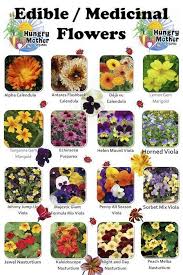 Maybe you would like to learn more about one of these? How To Enjoy Edible Flowers Teleflora Blog Edible Flowers Recipes List Of Edible Flowers Eatable Flowers