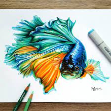 Home > art > 25 beautiful color pencil drawings tips for. Color Pencil Sketches Easy
