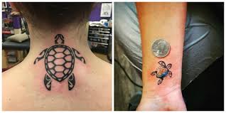 + add or change photo on imdbpro ». Tatuajes De Tortugas Tendencias Y Significaciones