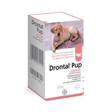 How often do you worm a puppy? Drontal Puppy Multipurpose Puppy Dewormer Bayer Direct Vet