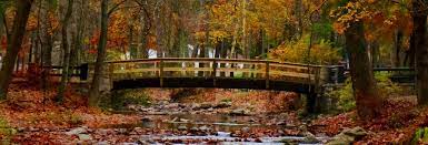 Nov 11, 2015 · for travelers with only a passing interest in history, however, there are still plenty of beautiful views on the drive. Michaux State Forest Visitpa