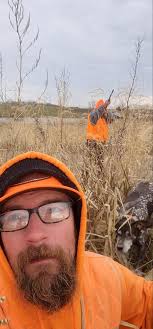 Like to find a well started or finished bird dog in MISSOURI