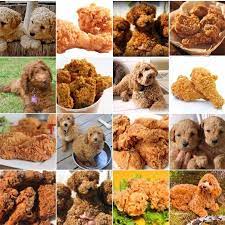 Canine Or Cuisine This Photo Meme Is Fetching The Salt Npr