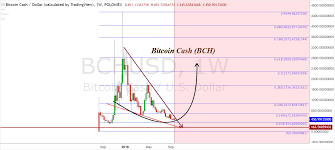 What people often forget about bitcoin and cryptocurrency is that the market cap of the. Bitcoin Cash Price 3 Bullish Predictions For 2018 Nulltx