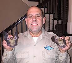 About pest animal kansas city and our services: Animal Control Animal Removal Kansas City Mo